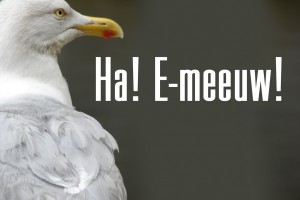 Ha! E-meeuw!