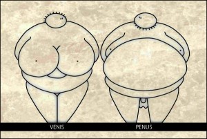 Venis en Penus