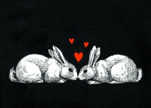 Making love like rabbits