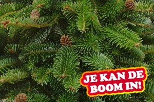 De boom in!