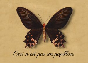 ceci n’est pas un papillon