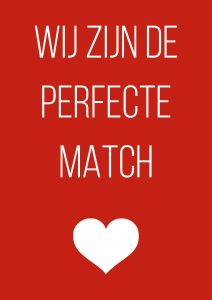 wij zijn de perfecte match (career control 1)