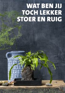 wat ben jij toch lekker stoer en ruig (intratuin 1)