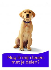 mag ik mijn leven met je delen? (kngf geleidehond)